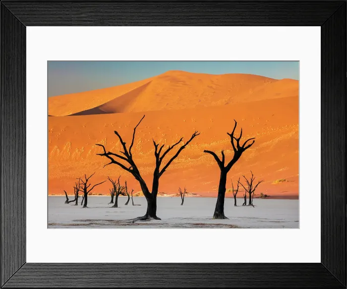 Framed Print : Dead camel thorn trees on a dried-up white mud pan & sand dunes, Dead Vlei, Namib-Naukluft National Park, Namib Desert, Namibia Framed Print : Dead camel thorn trees on a dried-up white mud pan & sand dunes, Dead Vlei, Namib-Naukluft National Park, Namib Desert, Namibia