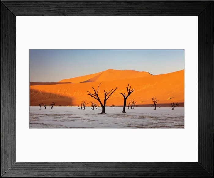 Framed Print : Dead camel thorn trees on a dried-up white mud pan & sand dunes, Dead Vlei, Namib-Naukluft National Park, Namib Desert, Namibia Framed Print : Dead camel thorn trees on a dried-up white mud pan & sand dunes, Dead Vlei, Namib-Naukluft National Park, Namib Desert, Namibia