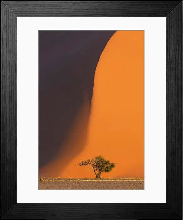 Framed Print : Dune 45 with camel thorn tree at base, Namib Desert, Namib-Naukluft National Park, Namibia Framed Print : Dune 45 with camel thorn tree at base, Namib Desert, Namib-Naukluft National Park, Namibia