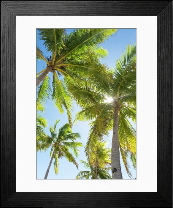 Framed Print : Palm trees on Gigantes Islands, Iloilo Province, Western Visayas, Philippines Framed Print : Palm trees on Gigantes Islands, Iloilo Province, Western Visayas, Philippines