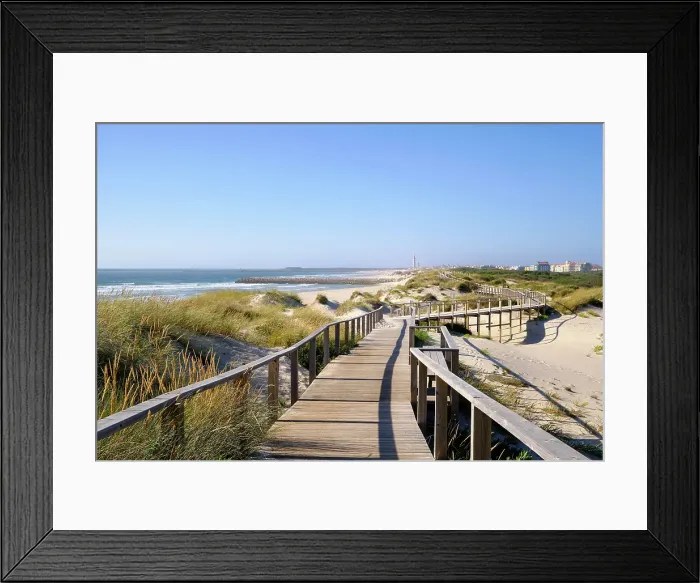 Framed Print : In the beach of Costa Nova, a system to retain the sand carried by the wind and to stop it to form a new sand dune. Portugal Framed Print : In the beach of Costa Nova, a system to retain the sand carried by the wind and to stop it to form a new sand dune. Portugal
