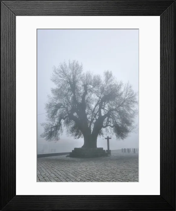 Framed Print : The city of Trancoso with fog. Beira Alta, Portugal Framed Print : The city of Trancoso with fog. Beira Alta, Portugal