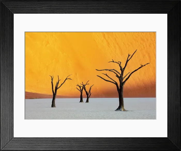 Framed Print : Dead camel thorn trees on a dried-up white mud pan & sand dunes, Dead Vlei, Namib-Naukluft National Park, Namib Desert, Namibia Framed Print : Dead camel thorn trees on a dried-up white mud pan & sand dunes, Dead Vlei, Namib-Naukluft National Park, Namib Desert, Namibia