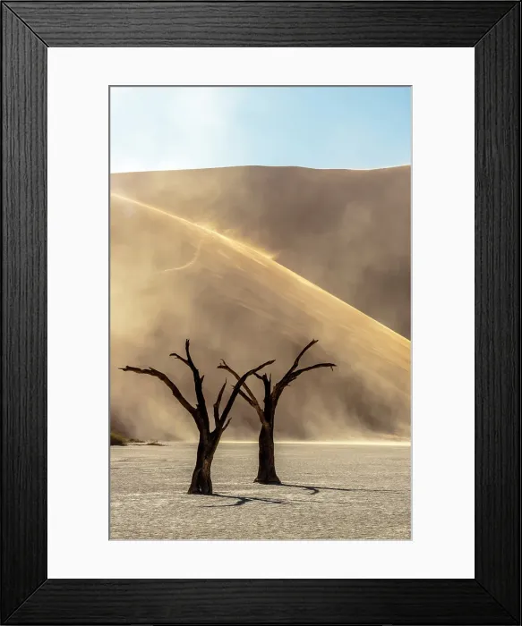 Framed Print : Dead camel thorn trees on a dried-up white mud pan with sand dunes, Dead Vlei, Namib-Naukluft National Park, Namib Desert, Namibia Framed Print : Dead camel thorn trees on a dried-up white mud pan with sand dunes, Dead Vlei, Namib-Naukluft National Park, Namib Desert, Namibia