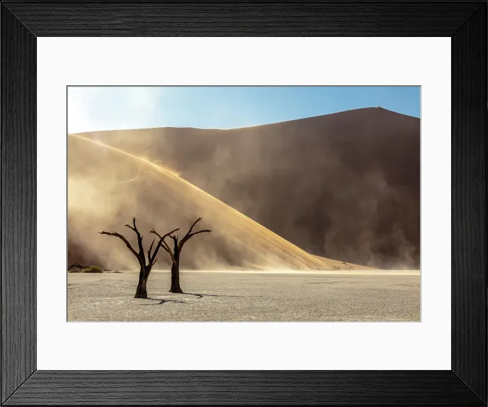 Framed Print : Dead camel thorn trees on a dried-up white mud pan with sand dunes, Dead Vlei, Namib-Naukluft National Park, Namib Desert, Namibia Framed Print : Dead camel thorn trees on a dried-up white mud pan with sand dunes, Dead Vlei, Namib-Naukluft National Park, Namib Desert, Namibia