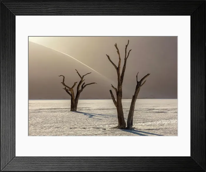Framed Print : Dead camel thorn trees on a dried-up white mud pan & sand dunes, Dead Vlei, Namib-Naukluft National Park, Namib Desert, Namibia Framed Print : Dead camel thorn trees on a dried-up white mud pan & sand dunes, Dead Vlei, Namib-Naukluft National Park, Namib Desert, Namibia