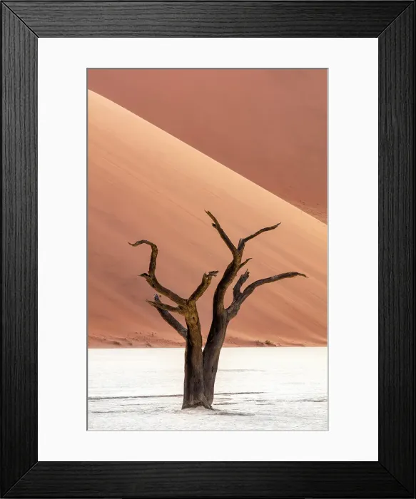 Framed Print : Dead camel thorn trees on a dried-up white mud pan & sand dunes, Dead Vlei, Namib-Naukluft National Park, Namibia