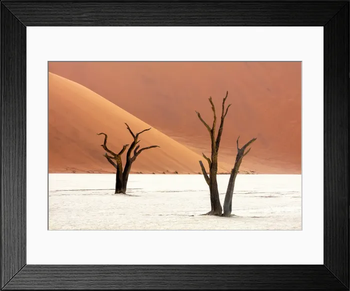 Framed Print : Dead camel thorn trees on a dried-up white mud pan & sand dunes, Dead Vlei, Namib-Naukluft National Park, Namibia Framed Print : Dead camel thorn trees on a dried-up white mud pan & sand dunes, Dead Vlei, Namib-Naukluft National Park, Namibia