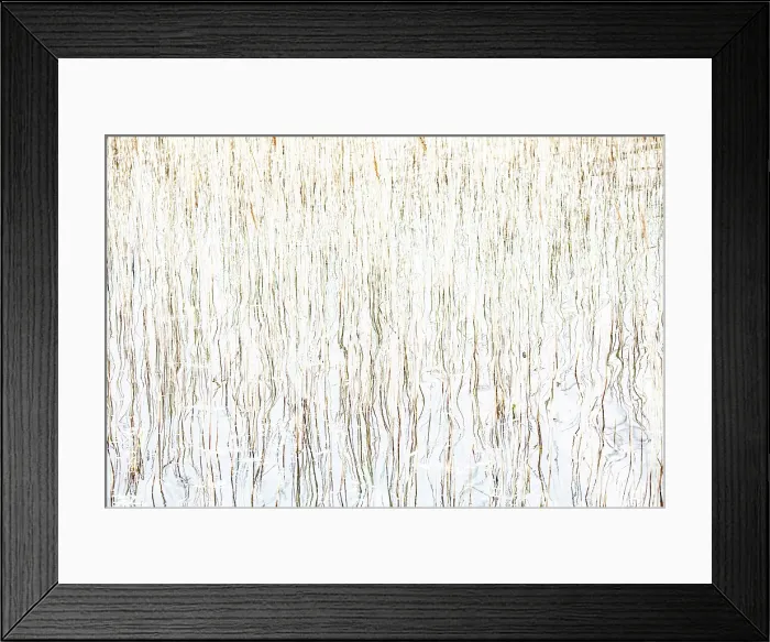 Framed Print : Reeds and reflections, Loch Cill Chriosd, Isle of Skye, Inner Hebrides, Scotland Framed Print : Reeds and reflections, Loch Cill Chriosd, Isle of Skye, Inner Hebrides, Scotland