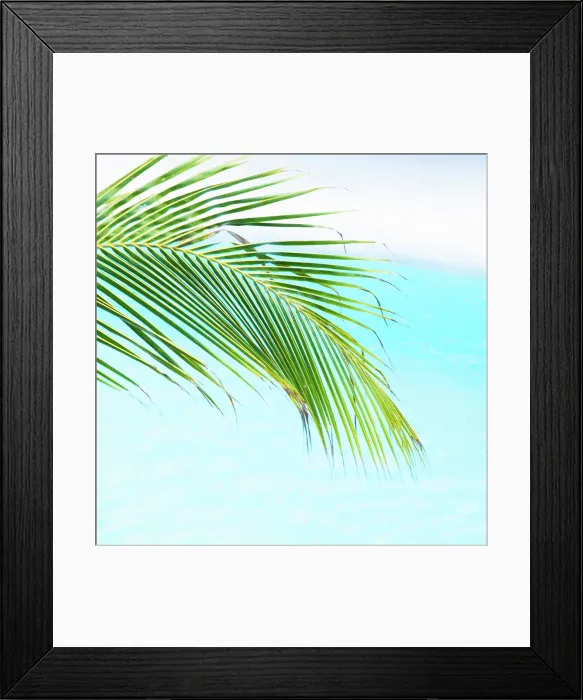 Framed Print : Green palm against blue water, , César Manrique Foundation, Tahiche, Lanzarote, Canary Islands, Spain Framed Print : Green palm against blue water, , César Manrique Foundation, Tahiche, Lanzarote, Canary Islands, Spain