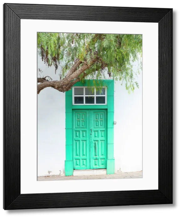 Framed Print : Street of trees, Calle de Los Arboles, Teguise, Lanzarote, Canary Islands, Spain Framed Print : Street of trees, Calle de Los Arboles, Teguise, Lanzarote, Canary Islands, Spain