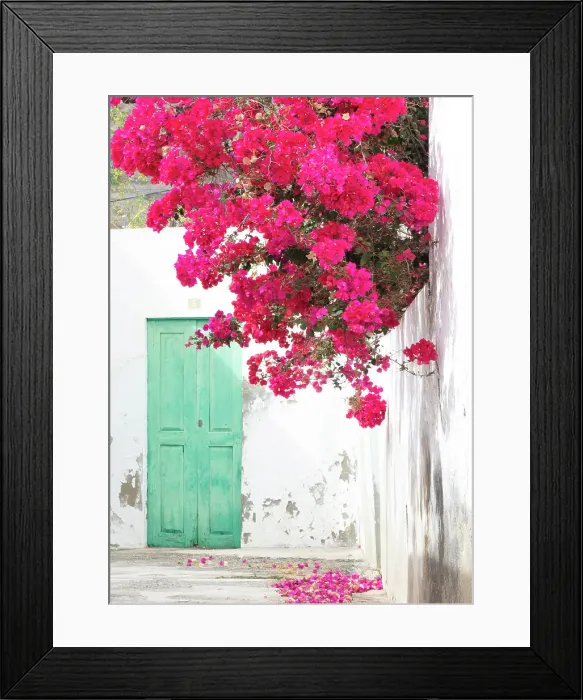 Framed Print : Bougainvillea on a whitewashed wall, Haria, Lanzarote, Canary Islands, Spain Framed Print : Bougainvillea on a whitewashed wall, Haria, Lanzarote, Canary Islands, Spain