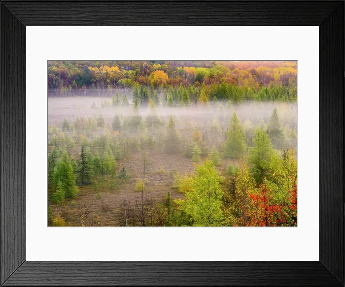 Framed Print : Sunrise over a foggy wetland, Greater Sudbury, Ontario, Canada Framed Print : Sunrise over a foggy wetland, Greater Sudbury, Ontario, Canada