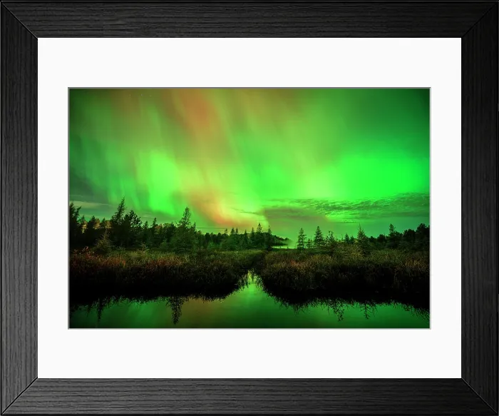 Framed Print : Aurora and autumn wetland, Greater Sudbury, Ontario, Canada Framed Print : Aurora and autumn wetland, Greater Sudbury, Ontario, Canada