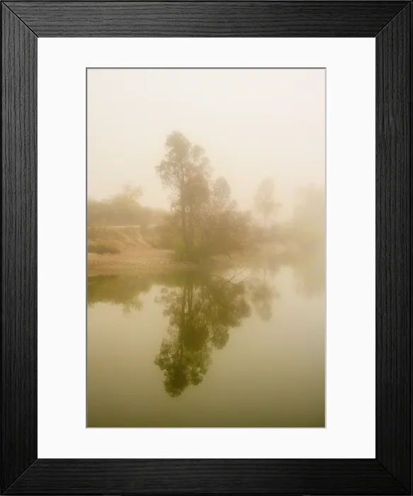 Framed Print : Morning fog, Guelph Lakes Conservation Area, Guelph, Ontario, Canada Framed Print : Morning fog, Guelph Lakes Conservation Area, Guelph, Ontario, Canada