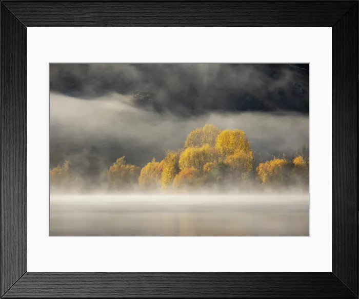 Framed Print : Autumn foliage on the banks of Wairepo Arm in Mackenzie Country, Canterbury, South Island, New Zealand. Autumn (May) 2025 Framed Print : Autumn foliage on the banks of Wairepo Arm in Mackenzie Country, Canterbury, South Island, New Zealand. Autumn (May) 2025