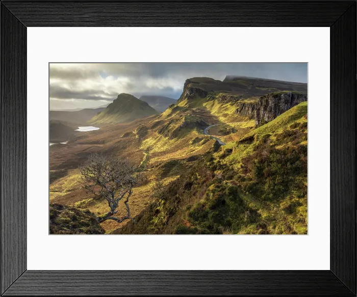 Framed Print : Lone Rowan tree on the Quiraing, with the Trotternish Ridge beyond, Isle of Skye, Scotland. Winter (February) 2025 Framed Print : Lone Rowan tree on the Quiraing, with the Trotternish Ridge beyond, Isle of Skye, Scotland. Winter (February) 2025