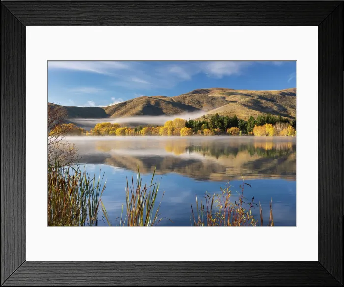 Framed Print : Spectacular autumnal colours on the banks of Wairepo Arm near Twizel in South Island, New Zealand. Autumn (May) 2025 Framed Print : Spectacular autumnal colours on the banks of Wairepo Arm near Twizel in South Island, New Zealand. Autumn (May) 2025