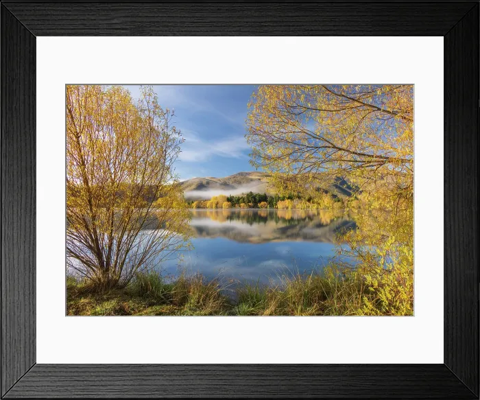 Framed Print : Autumnal foliage on the banks of Wairepo Arm near Twizel, Canterbury, South Island, New Zealand. Autumn (May) 2025 Framed Print : Autumnal foliage on the banks of Wairepo Arm near Twizel, Canterbury, South Island, New Zealand. Autumn (May) 2025