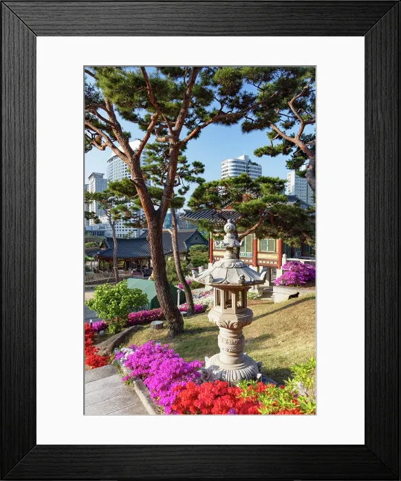 Framed Print : Bongeunsa Temple and skyscrapers, Gangnam, Seoul, Seoul Metropolitan Area, South Korea Framed Print : Bongeunsa Temple and skyscrapers, Gangnam, Seoul, Seoul Metropolitan Area, South Korea