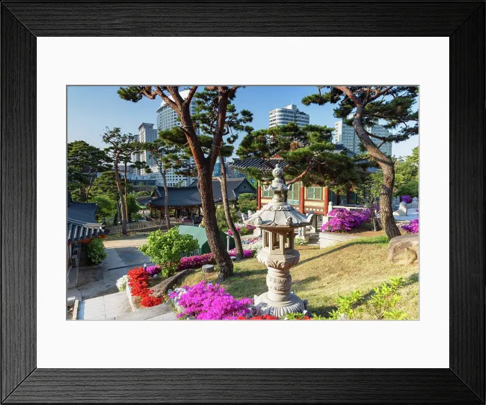 Framed Print : Bongeunsa Temple and skyscrapers, Gangnam, Seoul, Seoul Metropolitan Area, South Korea Framed Print : Bongeunsa Temple and skyscrapers, Gangnam, Seoul, Seoul Metropolitan Area, South Korea