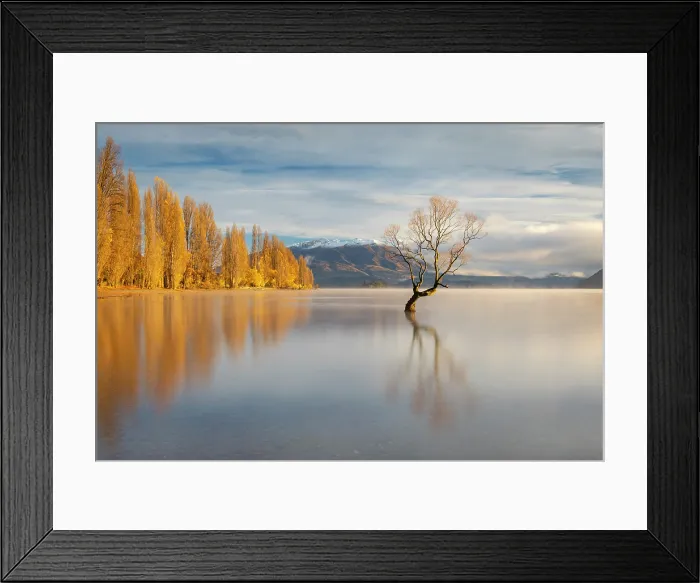 Framed Print : The lone tree on a beautiful autumnal morning on Lake Wanaka, Otago, South Island, New Zealand. Autumn (May) 2025