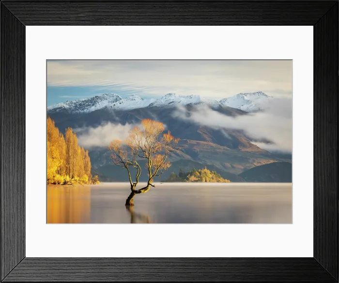 Framed Print : The lone tree on a beautiful autumnal morning on Lake Wanaka, Otago, South Island, New Zealand. Autumn (May) 2025 Framed Print : The lone tree on a beautiful autumnal morning on Lake Wanaka, Otago, South Island, New Zealand. Autumn (May) 2025