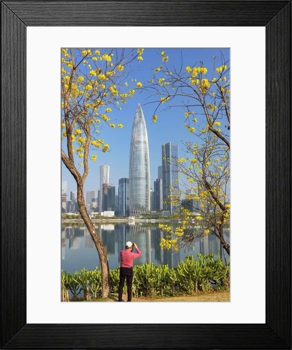Framed Print : China Resources Building and skyline from Talent Park, Shenzhen Bay, Shenzhen, Guangdong, China