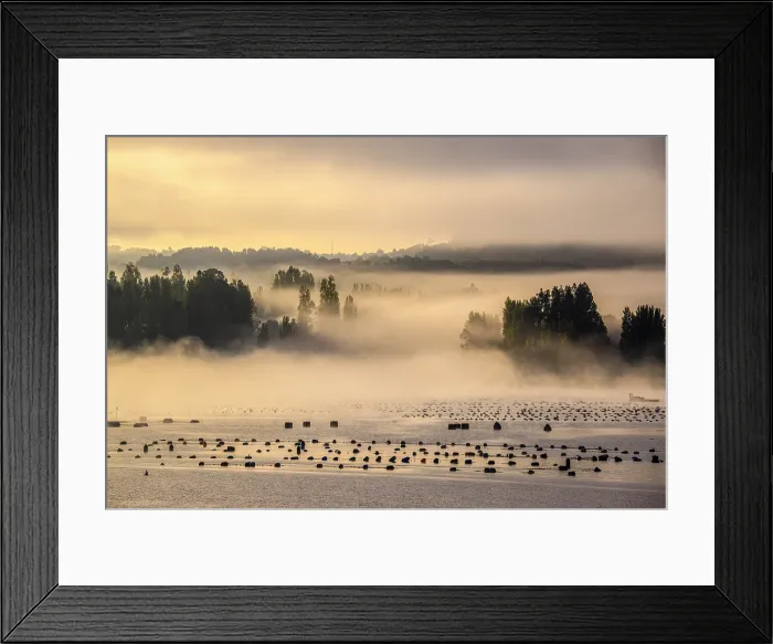Framed Print : Mussel farm marker buoys, Castro, Chiloe, Chile Framed Print : Mussel farm marker buoys, Castro, Chiloe, Chile