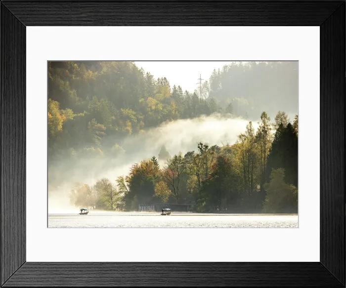 Framed Print : Mist spilling through autumnal woodland, Lake Bled, Bled, Slovenia Framed Print : Mist spilling through autumnal woodland, Lake Bled, Bled, Slovenia
