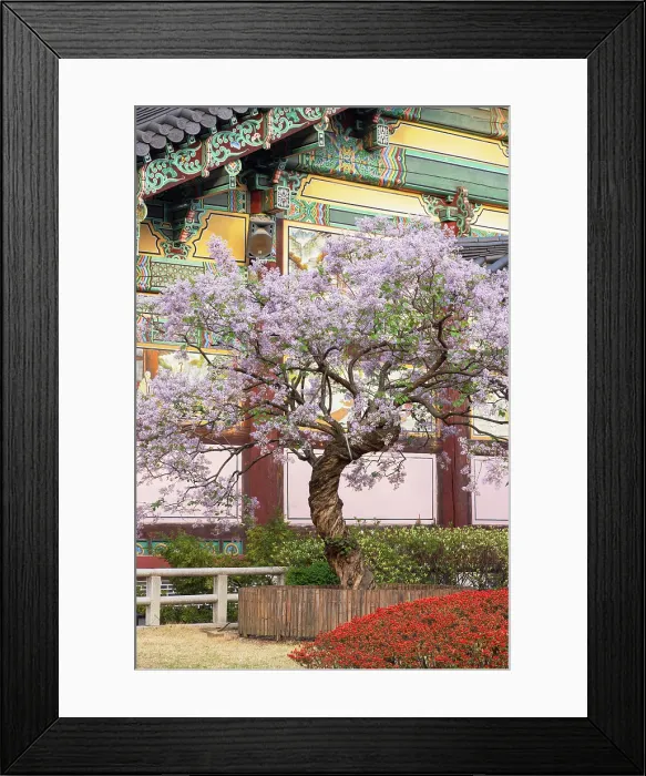 Framed Print : Bongeunsa temple, Gangnam, Seoul, South Korea Framed Print : Bongeunsa temple, Gangnam, Seoul, South Korea