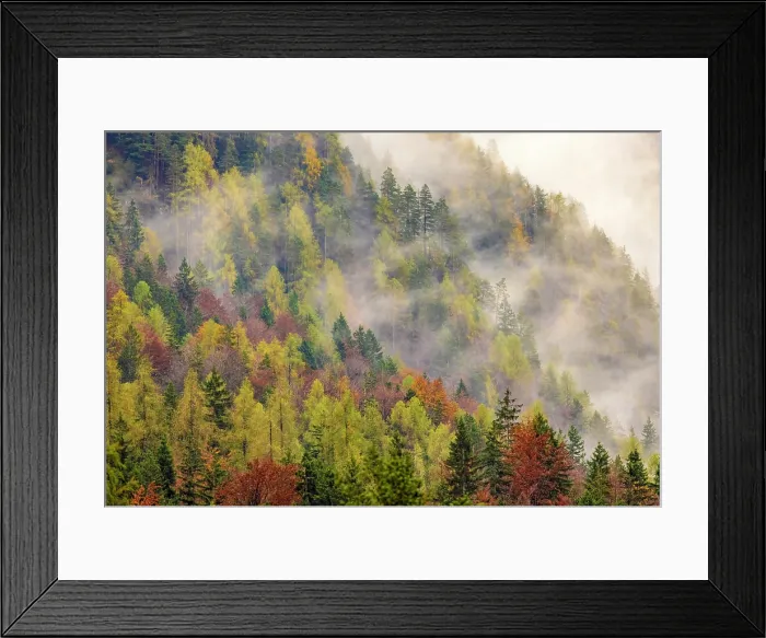 Framed Print : Autumnal woodland and mist, Lake Jasna, near Kranjska Gora, Slovenia Framed Print : Autumnal woodland and mist, Lake Jasna, near Kranjska Gora, Slovenia