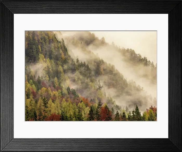 Framed Print : Autumnal woodland and mist, Lake Jasna, near Kranjska Gora, Slovenia Framed Print : Autumnal woodland and mist, Lake Jasna, near Kranjska Gora, Slovenia