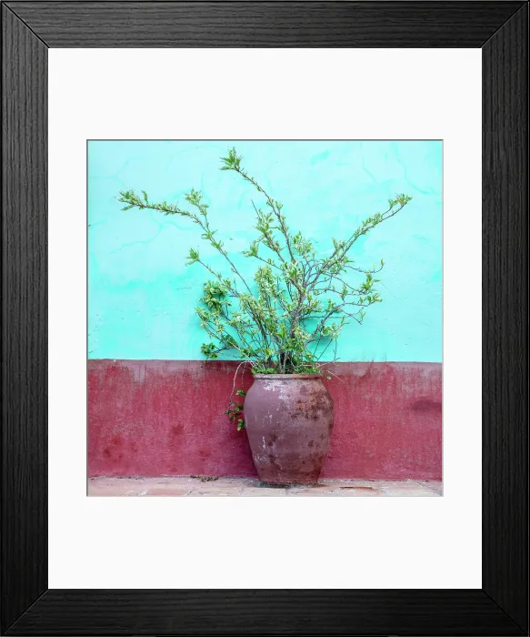 Framed Print : Potted plant against colourful painted wall, Trinidad, Sancti Spiritus Province, Cuba Framed Print : Potted plant against colourful painted wall, Trinidad, Sancti Spiritus Province, Cuba