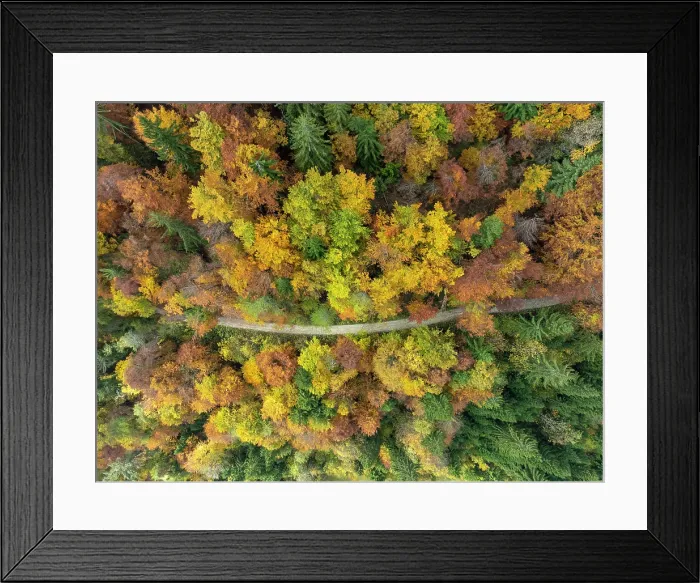 Framed Print : Aerial view of country road running through deciduous woodland in autumn, Jamnik, Slovenia Framed Print : Aerial view of country road running through deciduous woodland in autumn, Jamnik, Slovenia