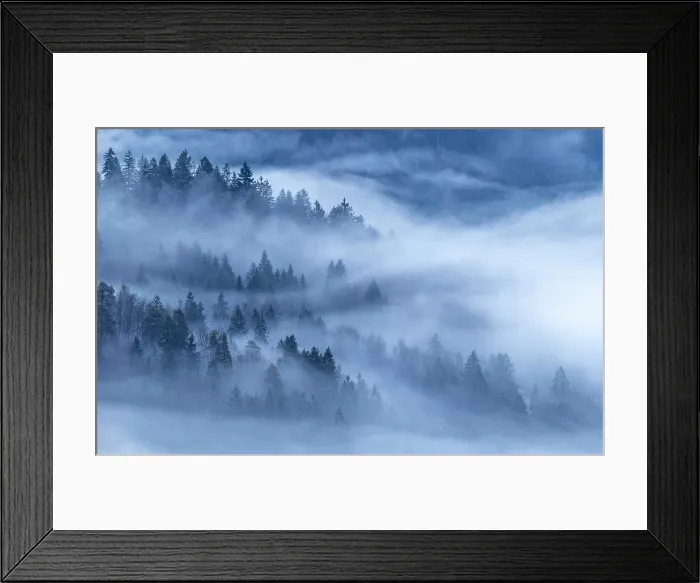 Framed Print : Mist swirling through woodland, near Kranjska Gora, Slovenia Framed Print : Mist swirling through woodland, near Kranjska Gora, Slovenia