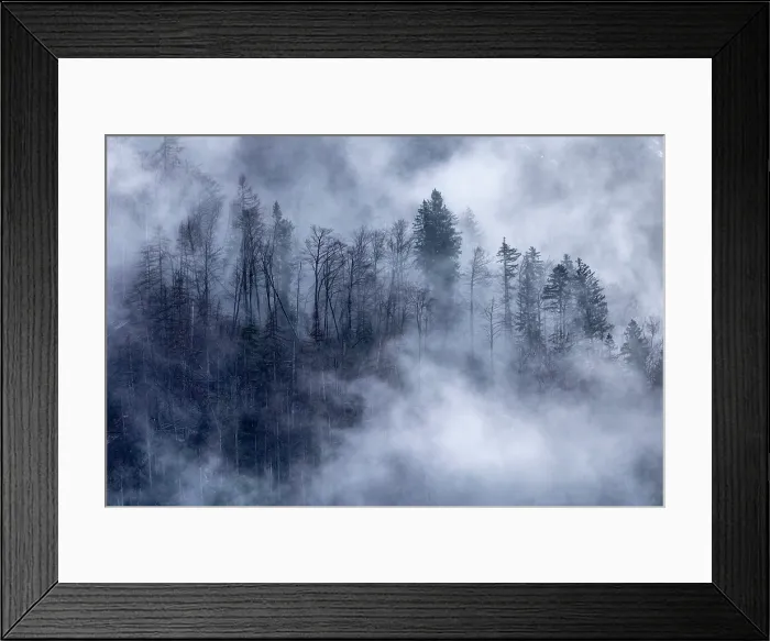 Framed Print : Mist swirling through woodland, near Kranjska Gora, Slovenia Framed Print : Mist swirling through woodland, near Kranjska Gora, Slovenia