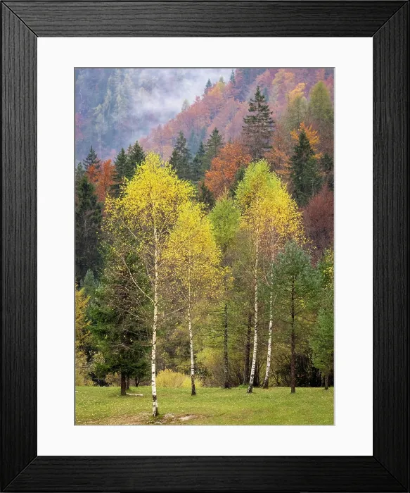 Framed Print : Autumnal woodland, Lake Jasna, near Kranjska Gora, Slovenia Framed Print : Autumnal woodland, Lake Jasna, near Kranjska Gora, Slovenia