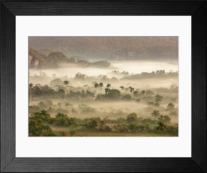 Framed Print : Mist driftng through the Vinales Valley at dawn, Vinales, Pinar del Rio Province, Cuba Framed Print : Mist driftng through the Vinales Valley at dawn, Vinales, Pinar del Rio Province, Cuba