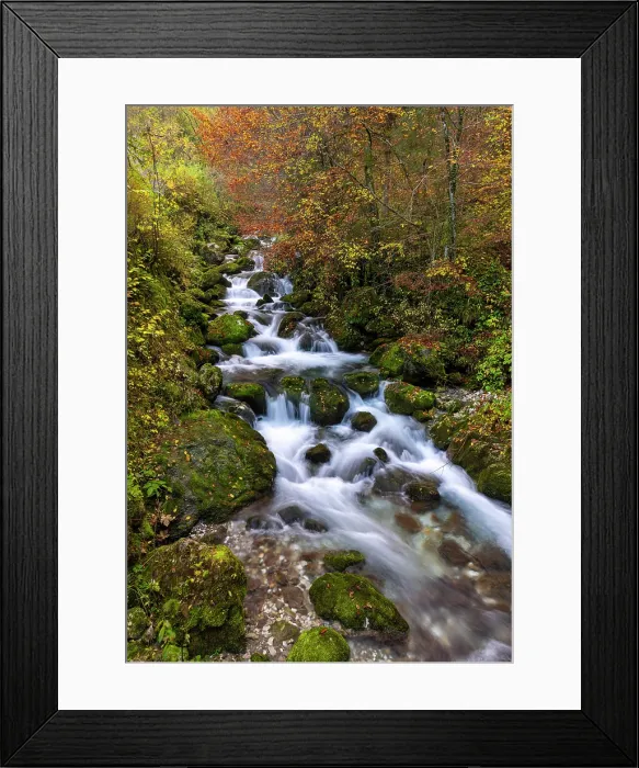 Framed Print : Stream flowing through woodland in autumn, Jamnik, Slovenia Framed Print : Stream flowing through woodland in autumn, Jamnik, Slovenia