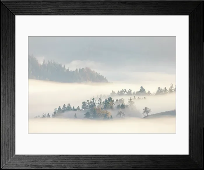 Framed Print : Mist and trees in autumn, Skofja Loka, Slovenia Framed Print : Mist and trees in autumn, Skofja Loka, Slovenia