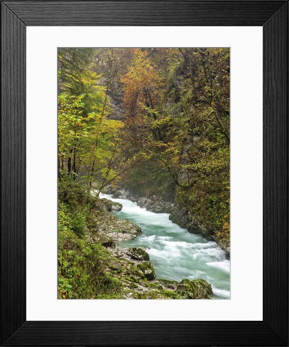 Framed Print : Vintgar Gorge and Radovna River in Autumn, near Bled, Slovenia Framed Print : Vintgar Gorge and Radovna River in Autumn, near Bled, Slovenia