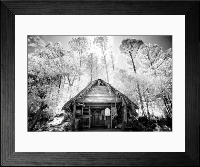 Framed Print : Old timber hut surrounded by trees, in infrared, Vinales, Cuba