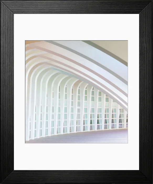 Framed Print : Pattern of repeated columns and buttresses, Ciudad de los artes y ciencias (City of Arts and Sciences), Valencia, Spain