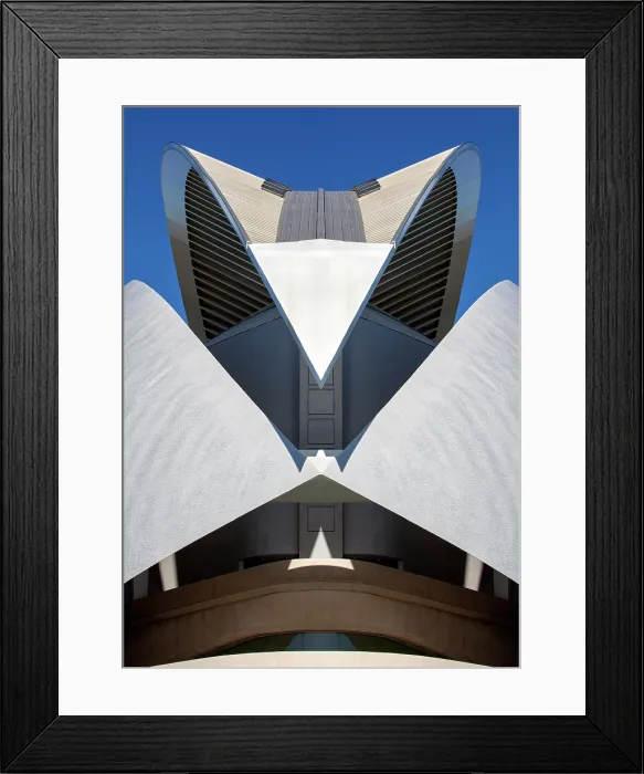 Framed Print : Palau de les Arts Reina Sofia (Queen Sofia Palace of the Arts), Ciudad de los artes y ciencias (City of Arts and Sciences), Valencia, Spain