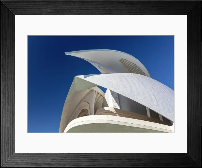 Framed Print : Palau de les Arts Reina Sofia (Queen Sofia Palace of the Arts), Ciudad de los artes y ciencias (City of Arts and Sciences), Valencia, Spain Framed Print : Palau de les Arts Reina Sofia (Queen Sofia Palace of the Arts), Ciudad de los artes y ciencias (City of Arts and Sciences), Valencia, Spain