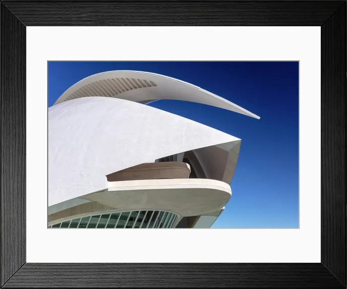 Framed Print : Palau de les Arts Reina Sofia (Queen Sofia Palace of the Arts), Ciudad de los artes y ciencias (City of Arts and Sciences), Valencia, Spain Framed Print : Palau de les Arts Reina Sofia (Queen Sofia Palace of the Arts), Ciudad de los artes y ciencias (City of Arts and Sciences), Valencia, Spain
