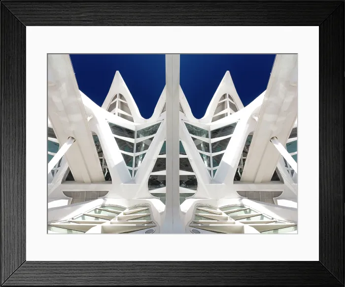 Framed Print : Museu de les Ciencies (Science Museum), Ciudad de los artes y ciencias (City of Arts and Sciences), Valencia, Spain Framed Print : Museu de les Ciencies (Science Museum), Ciudad de los artes y ciencias (City of Arts and Sciences), Valencia, Spain
