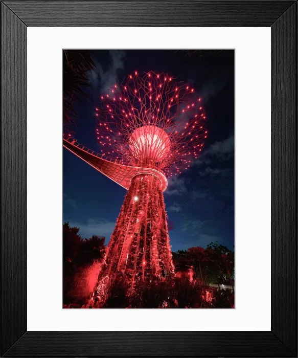 Framed Print : Lightshow in the Supertree Grove, Gardens by the Bay, Singapore Framed Print : Lightshow in the Supertree Grove, Gardens by the Bay, Singapore