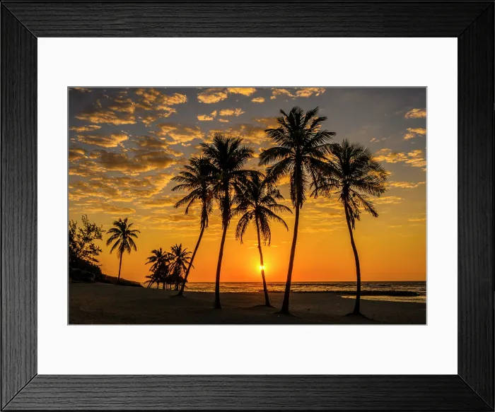 Framed Print : Palm trees on the beach at sunrise, Beach Bay Road Beach, Grand Cayman- Bodden Town, Cayman Islands